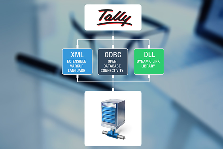 Integrate tally with database