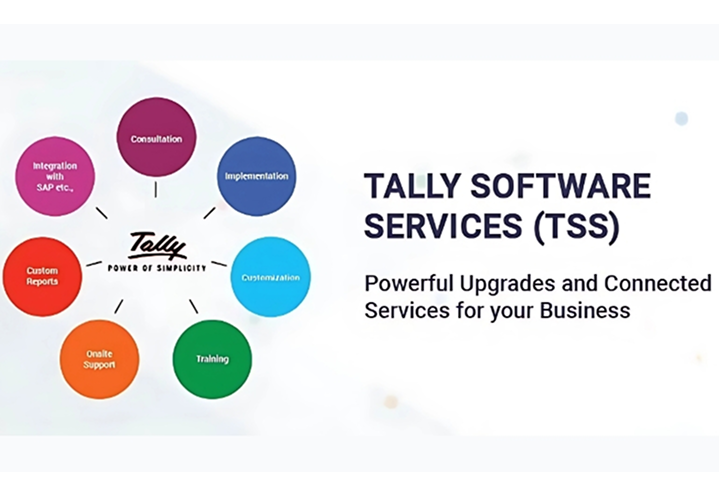 Tally Software Services